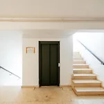 Herastrau Phoenicia With Free Parking Апартаменты Бухарест